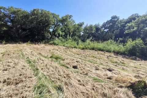 Istra,Barbariga-Poljoprivredno zemljište 616m2