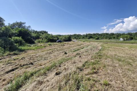 Istra,Barbariga-Poljoprivredno zemljište 616m2