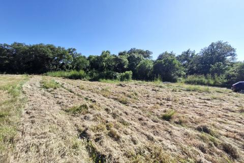 Istra,Barbariga-Poljoprivredno zemljište 616m2