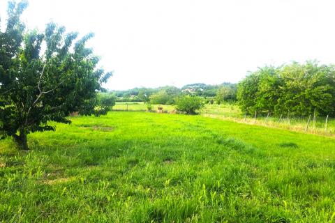 Building plot Materada, Umag, 1.109m2