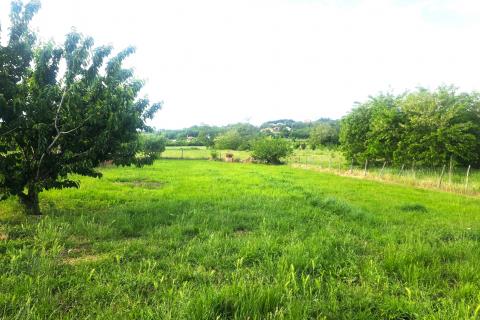 Building plot Materada, Umag, 1.109m2