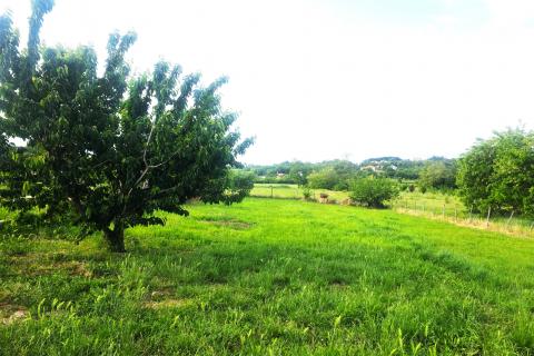 Building plot Materada, Umag, 1.109m2