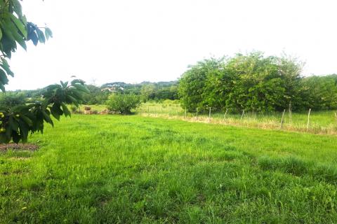 Building plot Materada, Umag, 1.109m2