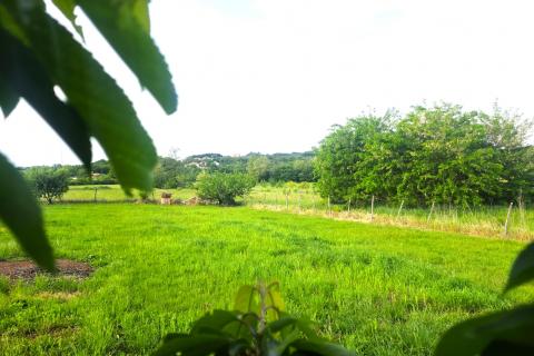 Building plot Materada, Umag, 1.109m2