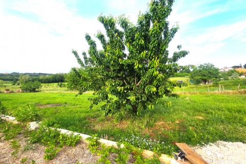 Building plot Materada, Umag, 1.109m2