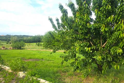 Building plot Materada, Umag, 1.109m2