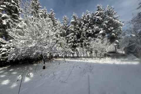 Building plot Mrkopalj, 885m2