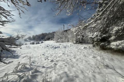 Building plot Mrkopalj, 885m2