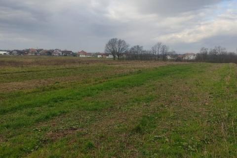 Bauland Odranski Obrež, Brezovica, 3.300m2