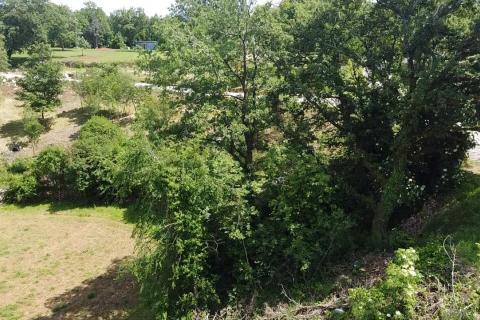 Istra, Tinjan - Građevinsko zemljište u okolici Tinjana