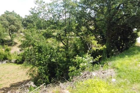 Istra, Tinjan - Građevinsko zemljište u okolici Tinjana