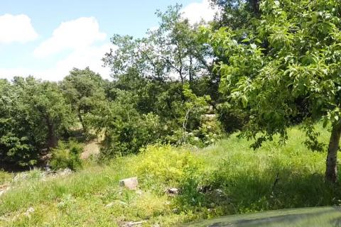 Istra, Tinjan - Građevinsko zemljište u okolici Tinjana