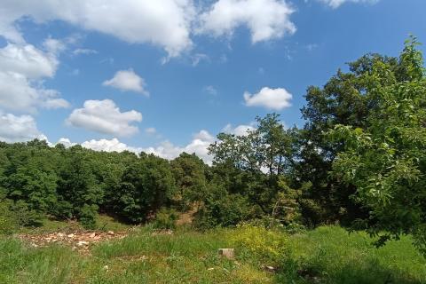Istra, Tinjan - Građevinsko zemljište u okolici Tinjana
