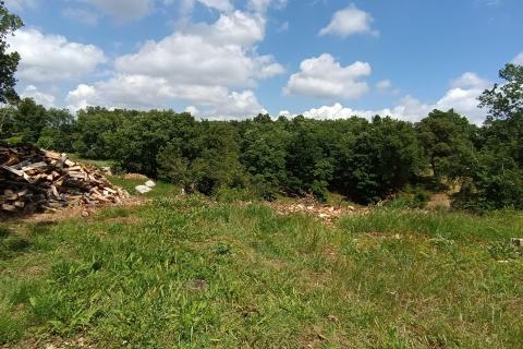 Istra, Tinjan - Građevinsko zemljište u okolici Tinjana