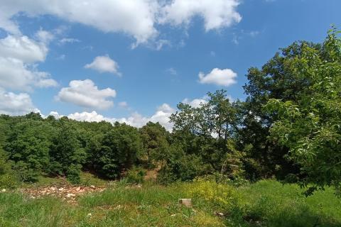 Istra, Tinjan - Građevinsko zemljište u okolici Tinjana