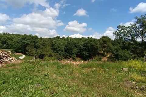 Istra, Tinjan - Građevinsko zemljište u okolici Tinjana