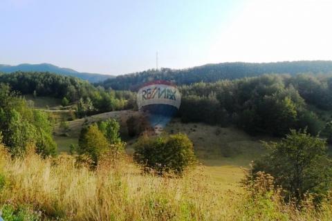 Lepenice - Jelenje, građevinski teren od 5004m2