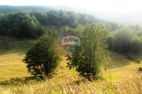 Lepenice - Jelenje, građevinski teren od 5004m2