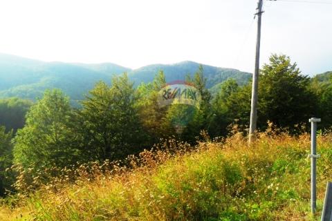 Lepenice - Jelenje, građevinski teren od 5004m2