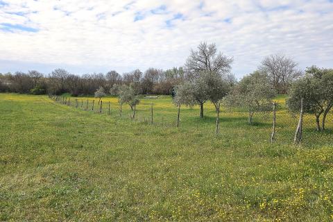 Building plot Umag, 3.364m2