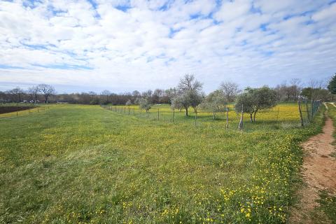 Building plot Umag, 3.364m2