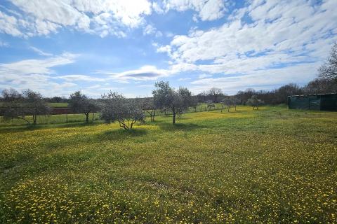 Building plot Umag, 3.364m2