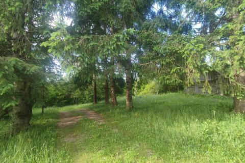 Ogulin-seosko imanje,90500 m2 okućnice