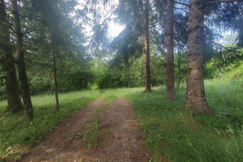 Ogulin-seosko imanje,90500 m2 okućnice