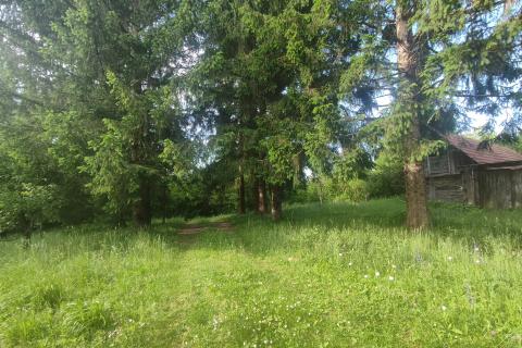 Ogulin-seosko imanje,90500 m2 okućnice