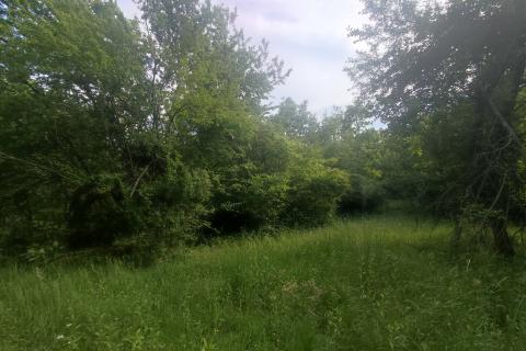 Ogulin-seosko imanje,90500 m2 okućnice