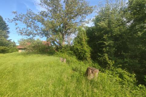 Ogulin-seosko imanje,90500 m2 okućnice