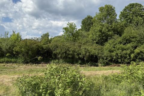 Terreno non edificabile Sela, Sisak - Okolica, 8.456m2