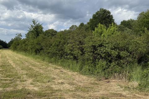 Terreno non edificabile Sela, Sisak - Okolica, 8.456m2