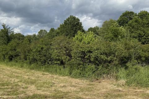 Terreno non edificabile Sela, Sisak - Okolica, 8.456m2