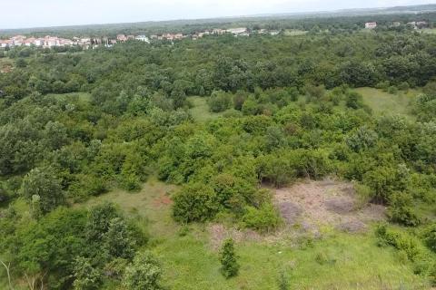 Istra, Poreč, Žbandaj-veliko poljoprivredno zemljište s ucrtanim putom