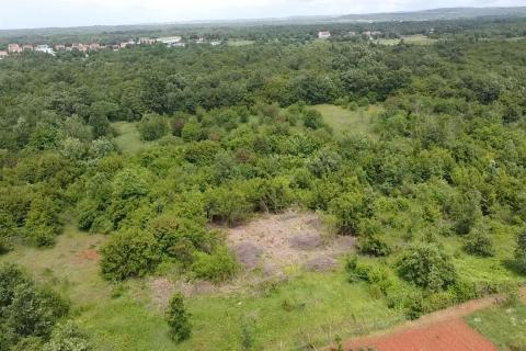 Istra, Poreč, Žbandaj-veliko poljoprivredno zemljište s ucrtanim putom