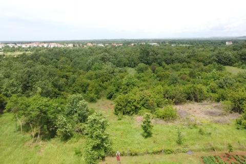 Istra, Poreč, Žbandaj-veliko poljoprivredno zemljište s ucrtanim putom