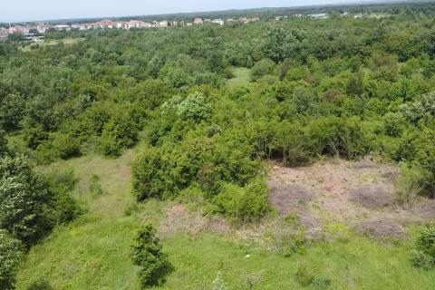 Istra, Poreč, Žbandaj-veliko poljoprivredno zemljište s ucrtanim putom