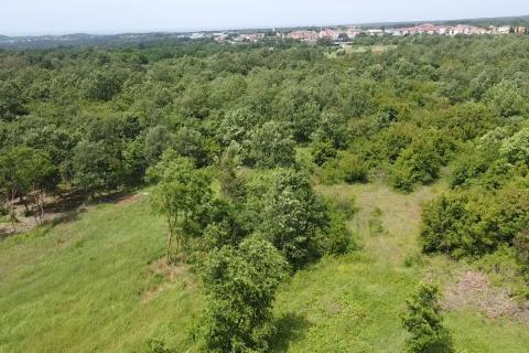 Istra, Poreč, Žbandaj-veliko poljoprivredno zemljište s ucrtanim putom