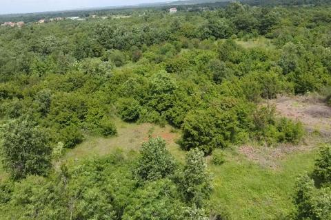 Istra, Poreč, Žbandaj-veliko poljoprivredno zemljište s ucrtanim putom