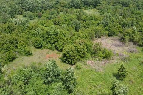 Istra, Poreč, Žbandaj-veliko poljoprivredno zemljište s ucrtanim putom