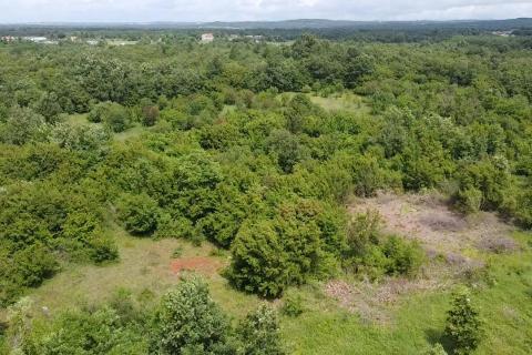 Istra, Poreč, Žbandaj-veliko poljoprivredno zemljište s ucrtanim putom