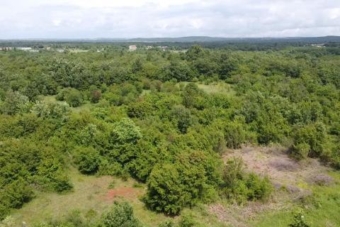 Istra, Poreč, Žbandaj-veliko poljoprivredno zemljište s ucrtanim putom