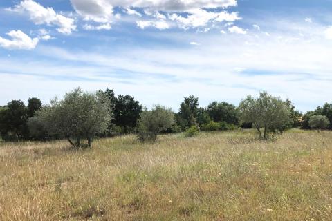 Building plot Umag, 10.597m2