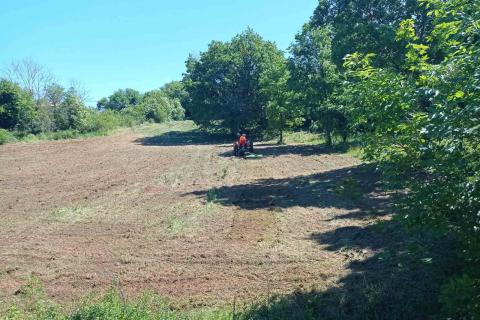 Istria, Barban - Building Land 1227 m2