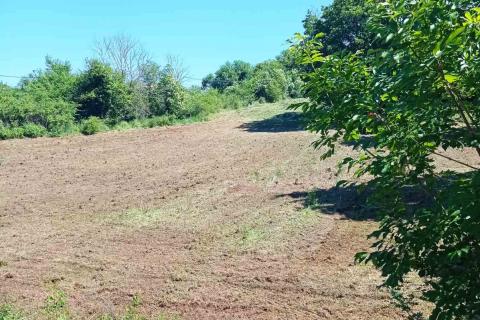 Istria, Barban - Building Land 1227 m2