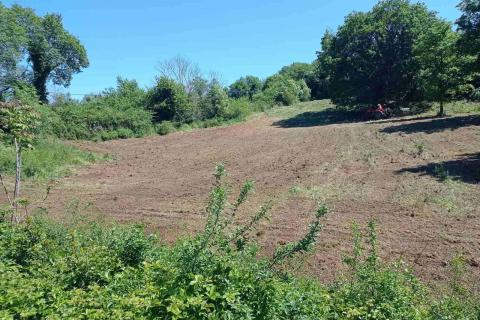 Istria, Barban - Building Land 1227 m2