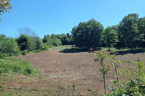 Istria, Barban - Building Land 1227 m2