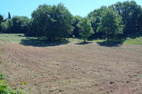 Istria, Barban - Building Land 1227 m2