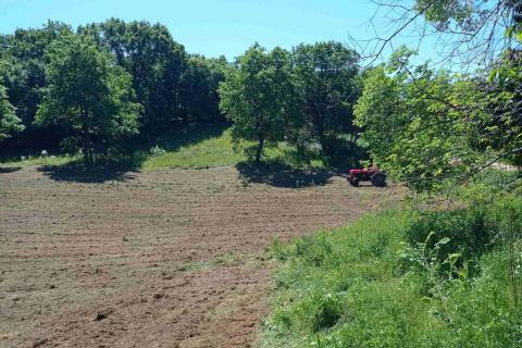 Istria, Barban - Building Land 1227 m2